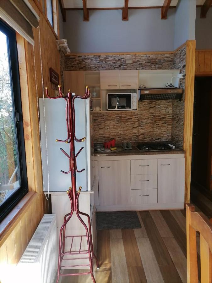 Cabanas Mister Nelson Valdivia Extérieur photo