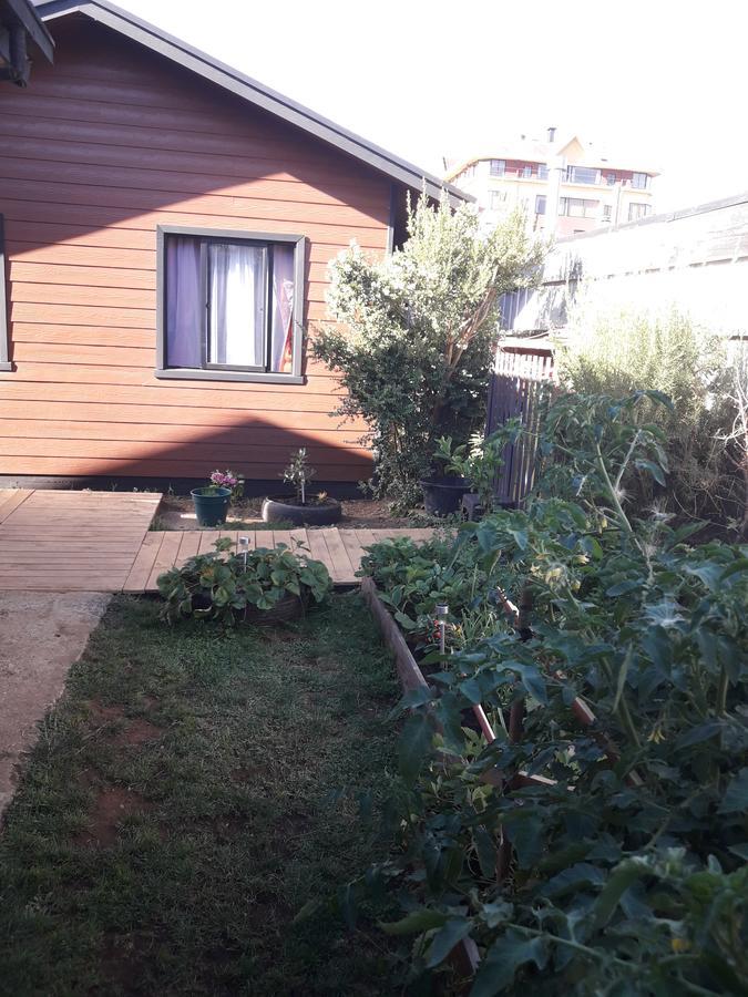 Cabanas Mister Nelson Valdivia Extérieur photo